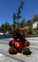 Brandon the Beaver
